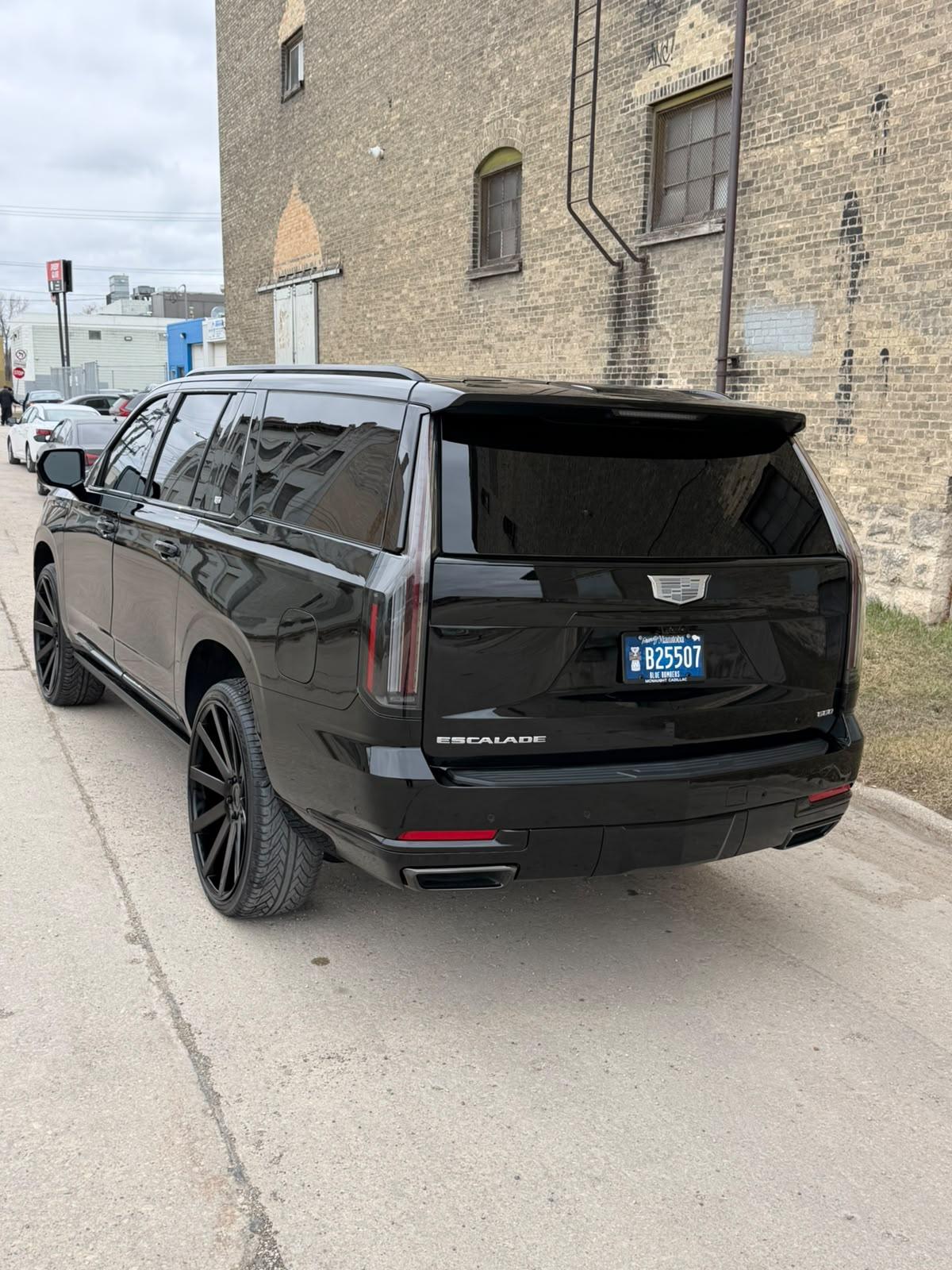 Escalade Rear Protection by Auto Revival Customs