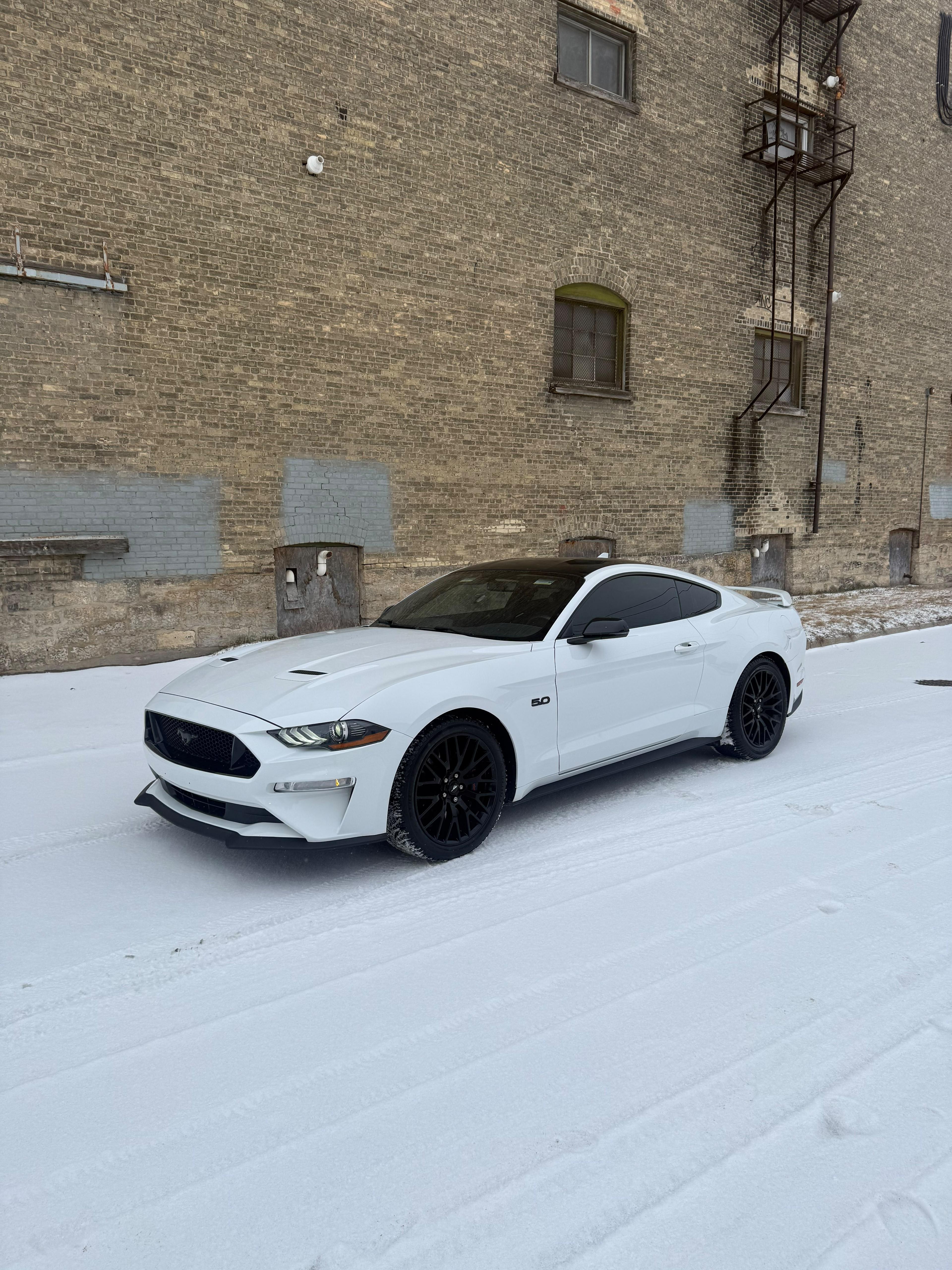 Mustang Winter Protection by Auto Revival Customs